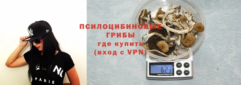 Псилоцибиновые грибы GOLDEN TEACHER  Навашино 